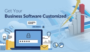 Improve Business Efficiency: Get Your Business Software Customized